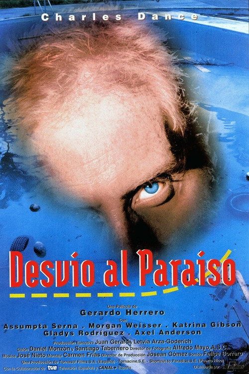 Desvío al paraíso — постер