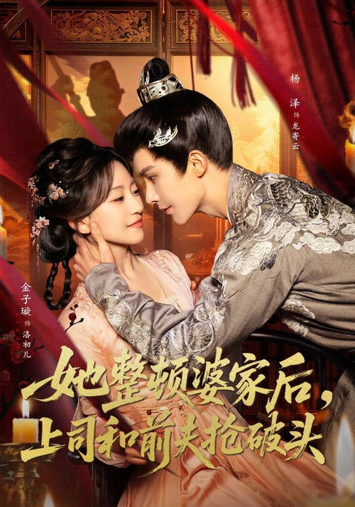 她整顿婆家后，上司和前夫抢破头 — постер