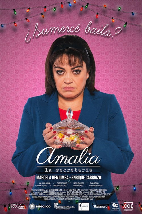 Amalia, la secretaria — постер
