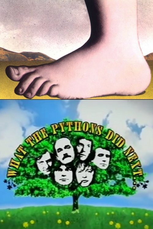 What the Pythons Did Next... — постер