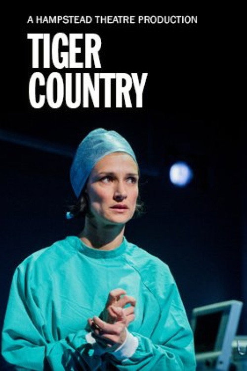 Hampstead Theatre At Home: Tiger Country — постер