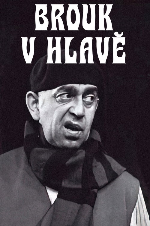 Brouk v hlavě — постер