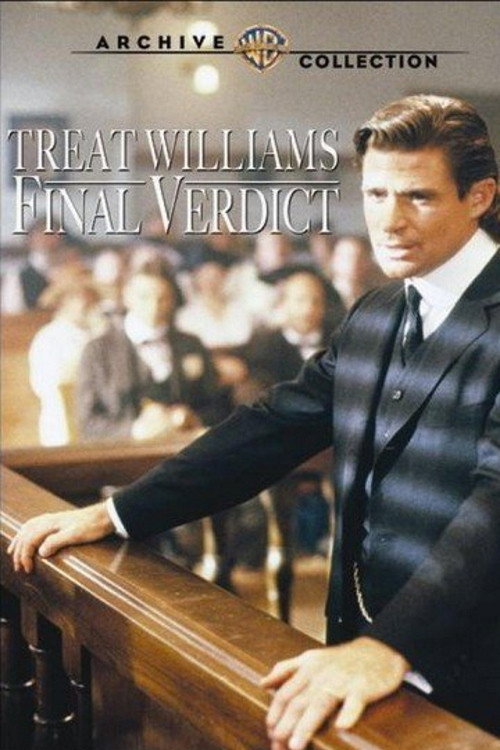 Final Verdict — постер