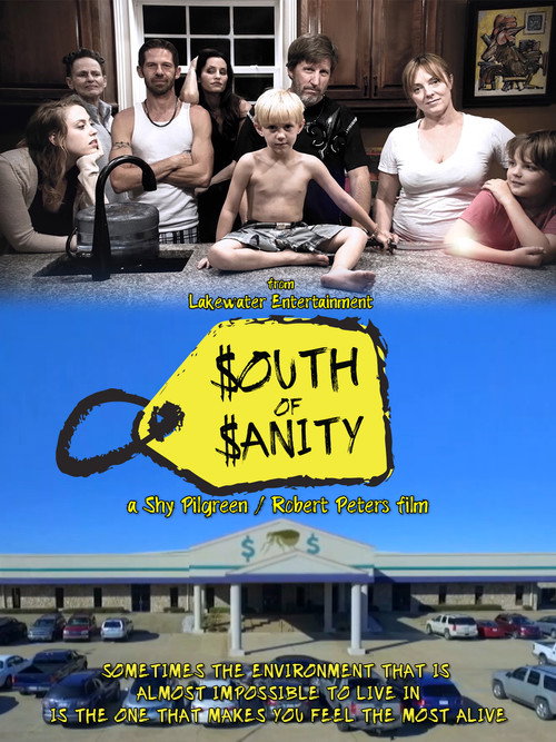 South of Sanity — постер
