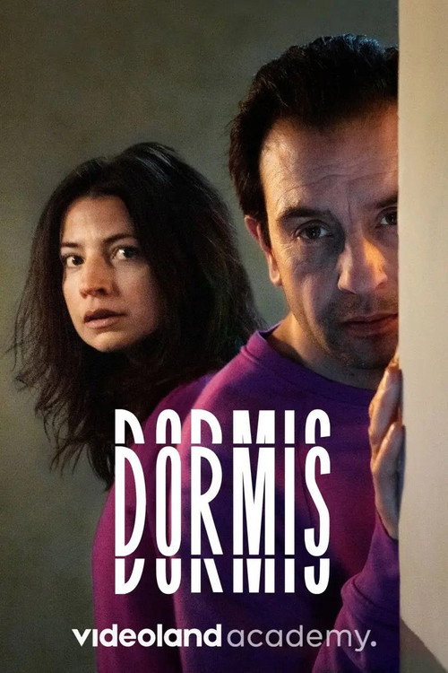 Dormis — постер
