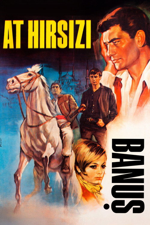 At Hırsızı: Banuş — постер