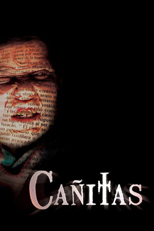 Cañitas — постер