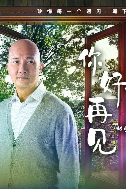 你好，再见 — постер