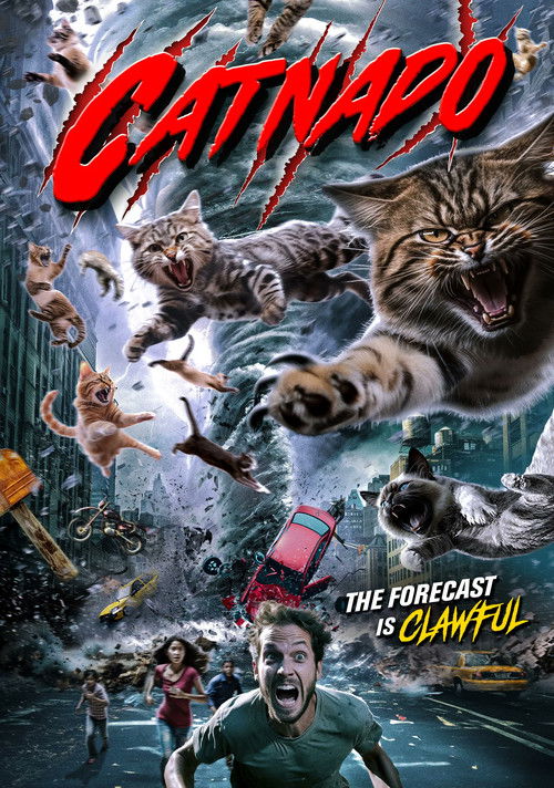 Catnado — постер
