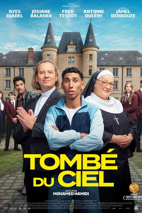 Tombé du ciel — постер
