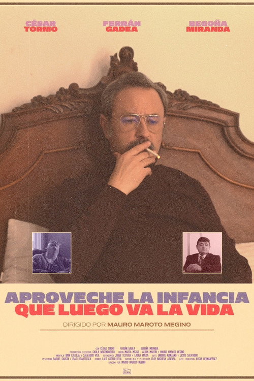 Aproveche la infancia que luego va la vida — постер