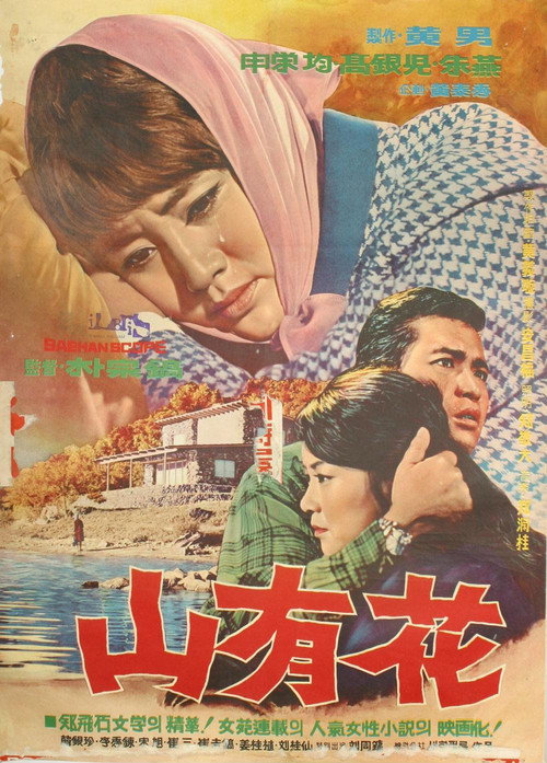 산유화 — постер