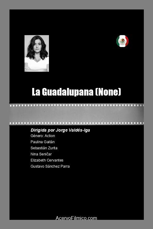 La Guadalupana — постер
