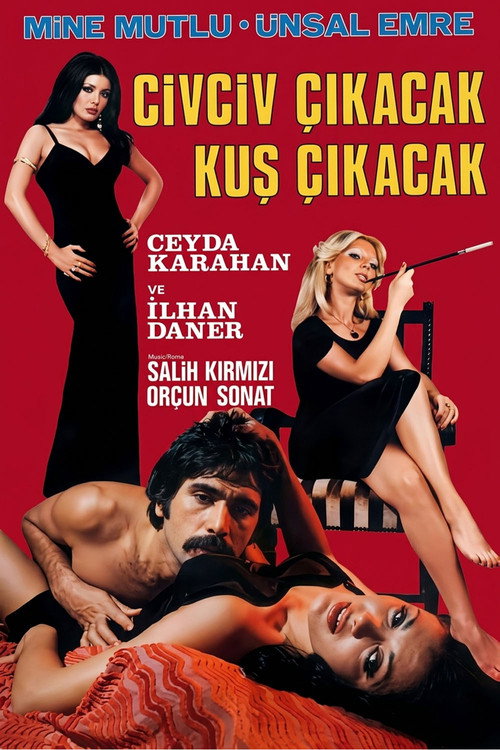 Civciv Çıkacak Kuş Çıkacak — постер
