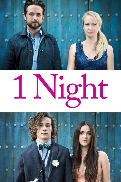 1 Night — постер