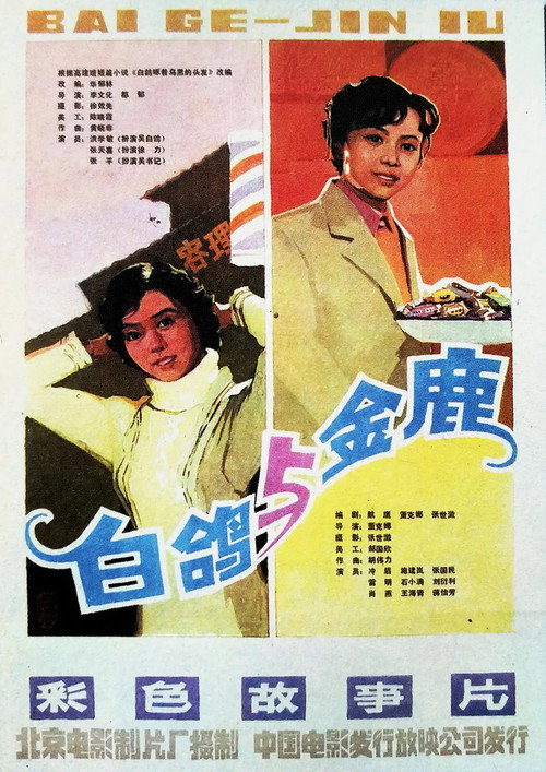 白鸽 — постер
