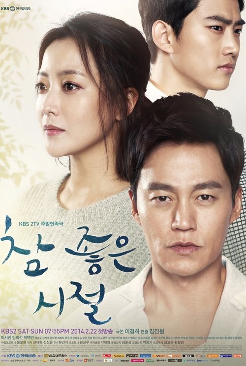 참 좋은 시절 — постер