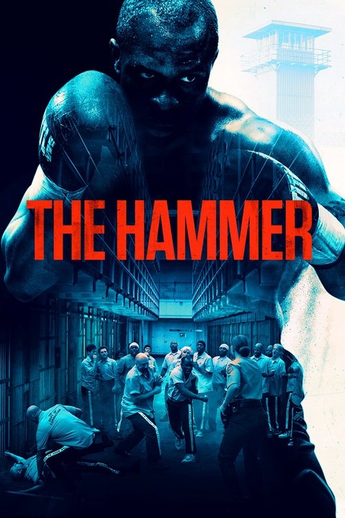 The Hammer — постер