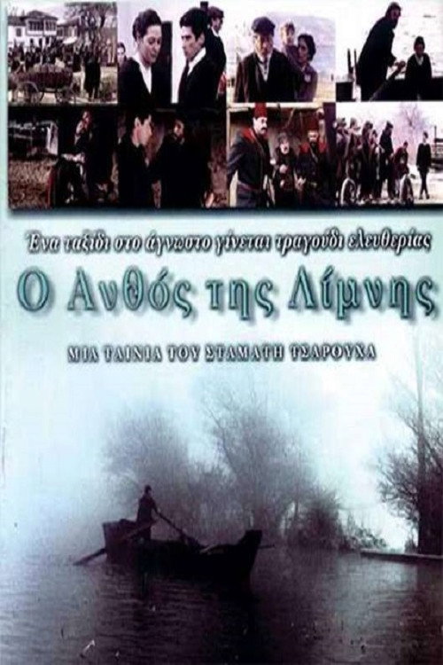 Ο ανθός της λίμνης — постер