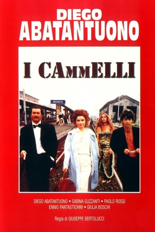 I cammelli — постер