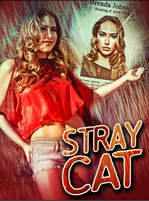Stray Cat — постер