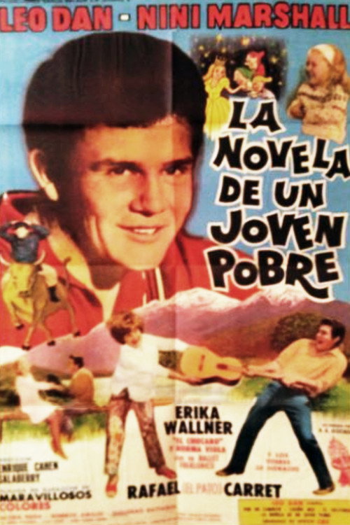 La novela de un joven pobre — постер