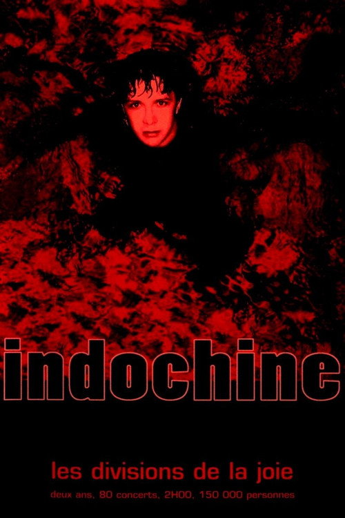 Indochine - Les divisions de la joie — постер