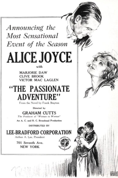 The Passionate Adventure — постер