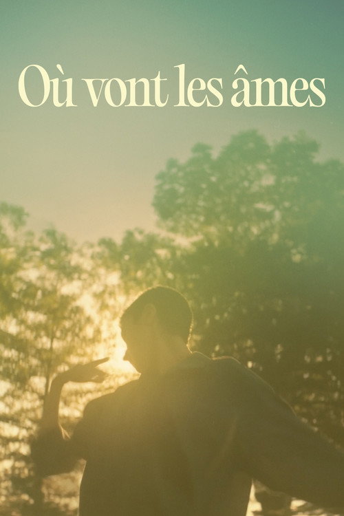 Où vont les âmes? — постер