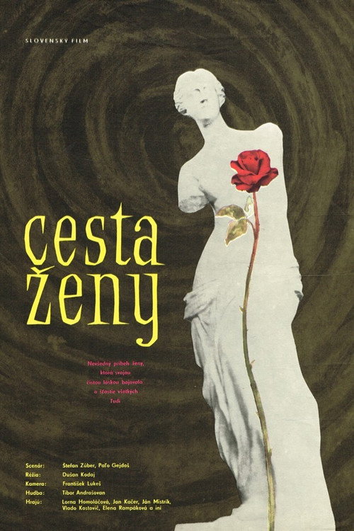 Cesta ženy — постер