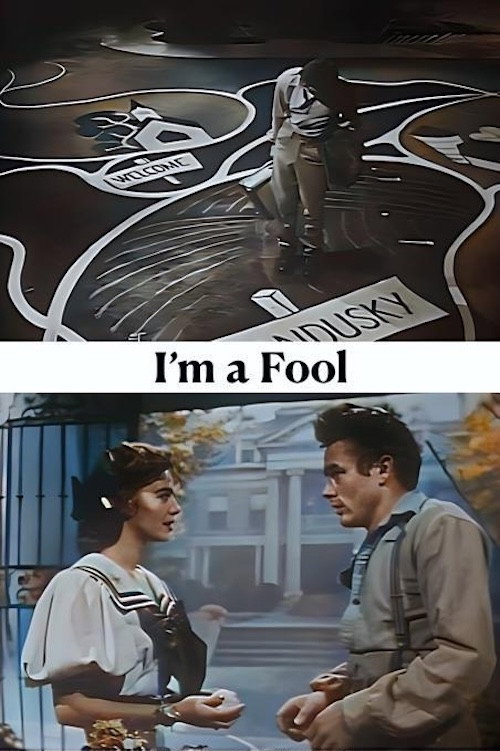 Sherwood Anderson's I'm A Fool — постер
