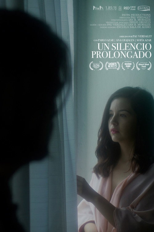 Un silencio prolongado — постер