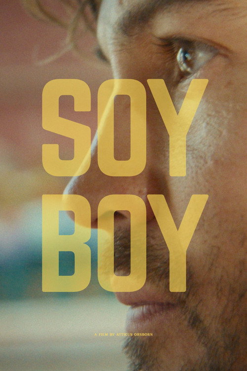 Soy Boy — постер