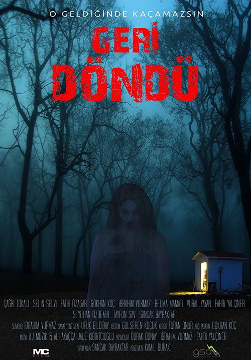 Geri Döndü — постер