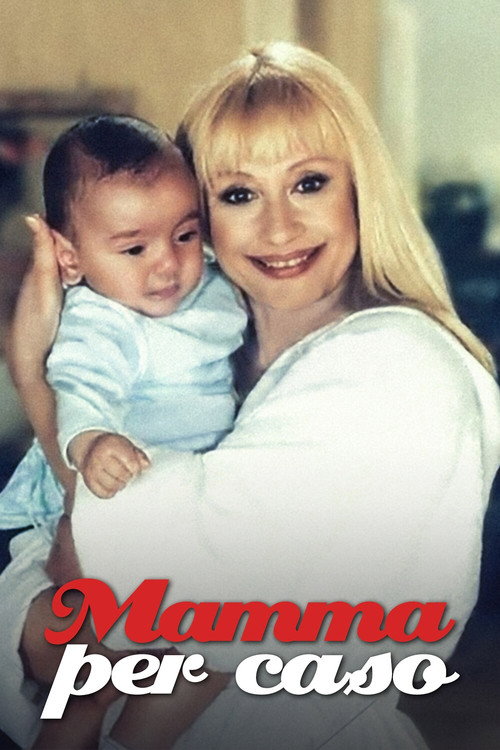 Mamma per Caso — постер