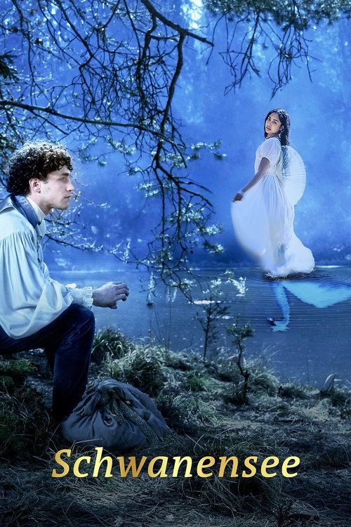 Das Märchen vom Schwanensee — постер