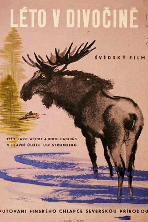 Vildmarkssommar — постер