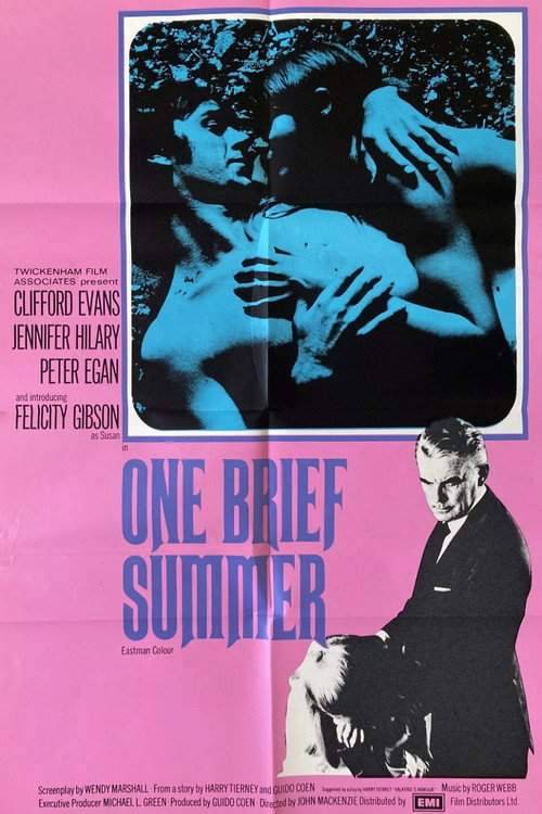 One Brief Summer — постер