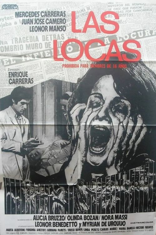 Las locas — постер