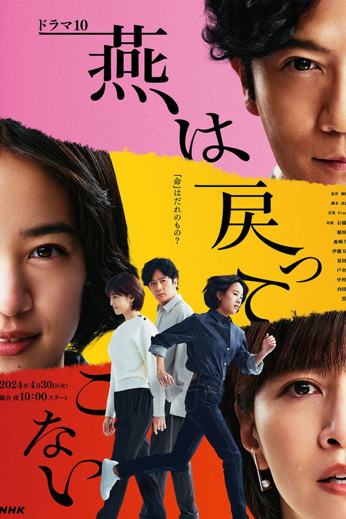 燕は戻ってこない — постер