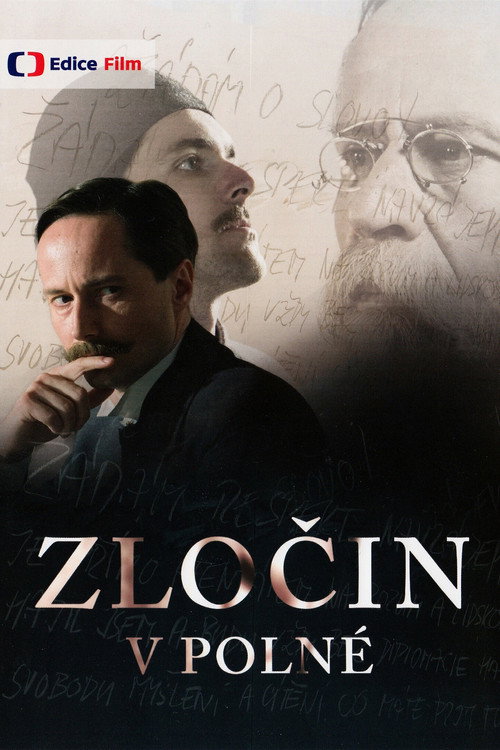 Zločin v Polné — постер