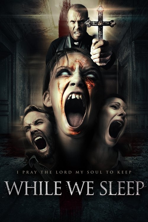 While We Sleep — постер