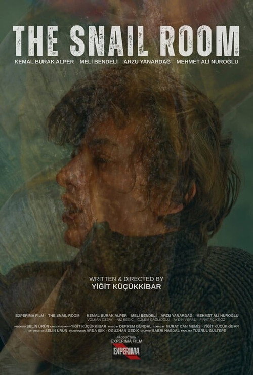 Salyangoz Odasi — постер