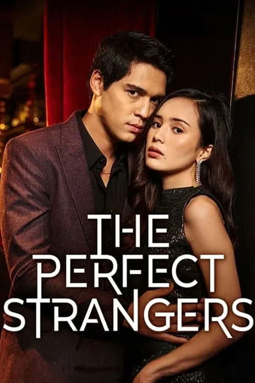 The Perfect Strangers — постер