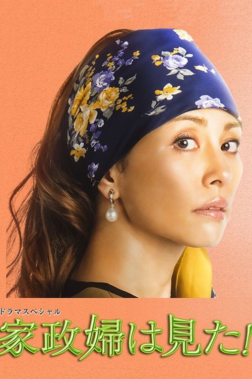 家政婦は見た! — постер