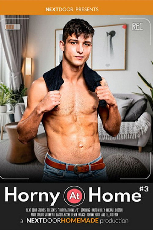Horny at Home 3 — постер