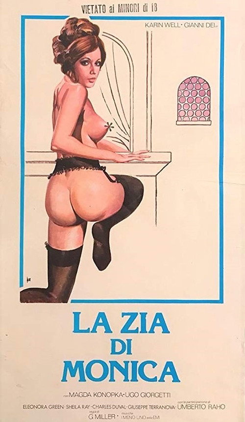 La zia di Monica — постер