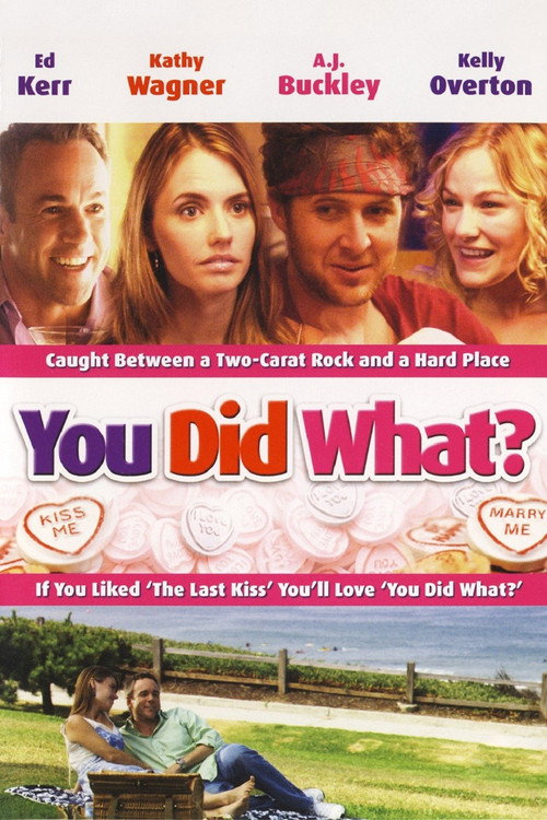 You Did What? — постер