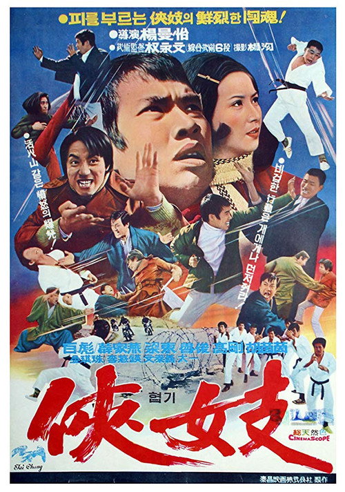Zhan bei guo — постер