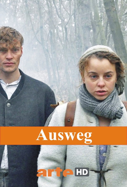 Ausweg — постер
